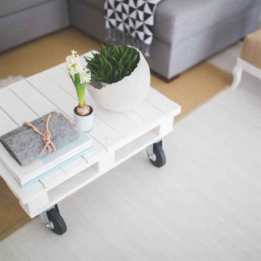 Bright living room detail with a low white table, books and a potted plant